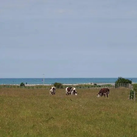 Appartement Le Bateau Bleu Avec Vue Sur Criel-sur-Mer