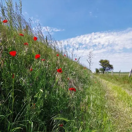 Le Bateau Bleu Avec Vue Sur Criel-sur-Mer