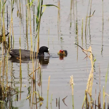 Le Bateau Bleu Avec Vue Sur 아파트 크리엘쉬르메르